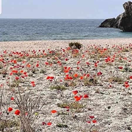 The Poppies Guest House - 100M Ocean - Private Spaces Candelaria Dış mekan fotoğraf