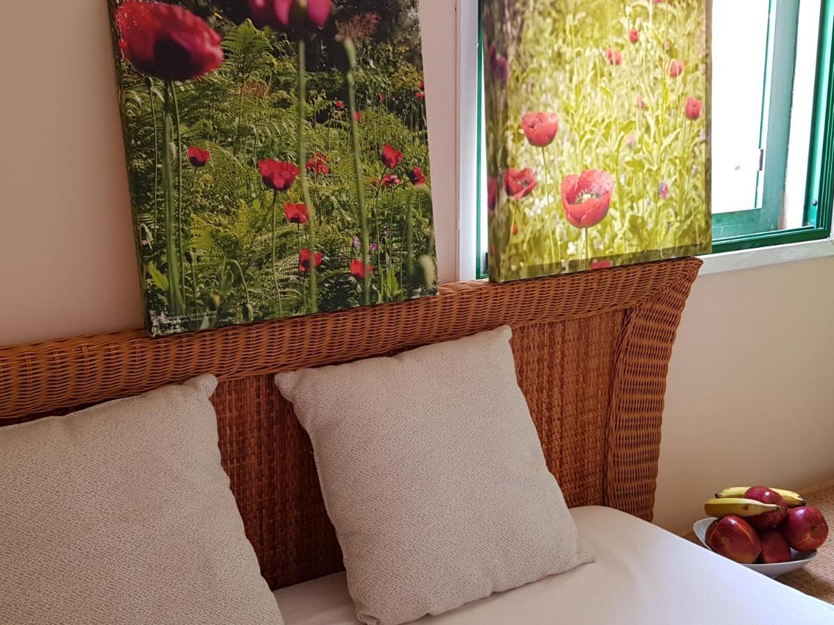 The Poppies Guest House - 100M Ocean - Private Spaces Candelaria Dış mekan fotoğraf