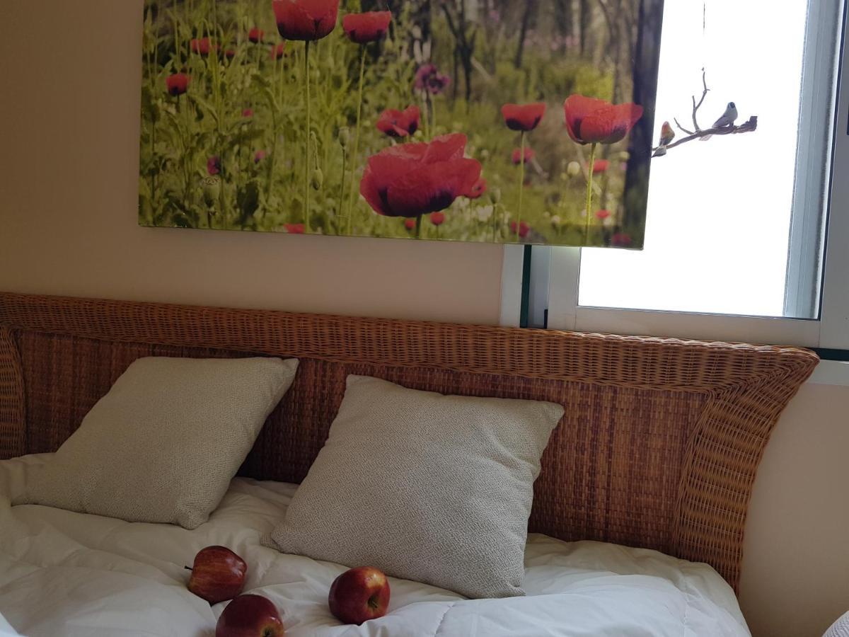 The Poppies Guest House - 100M Ocean - Private Spaces Candelaria Dış mekan fotoğraf