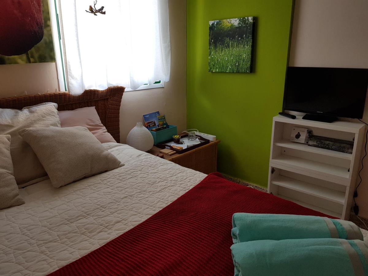 The Poppies Guest House - 100M Ocean - Private Spaces Candelaria Dış mekan fotoğraf