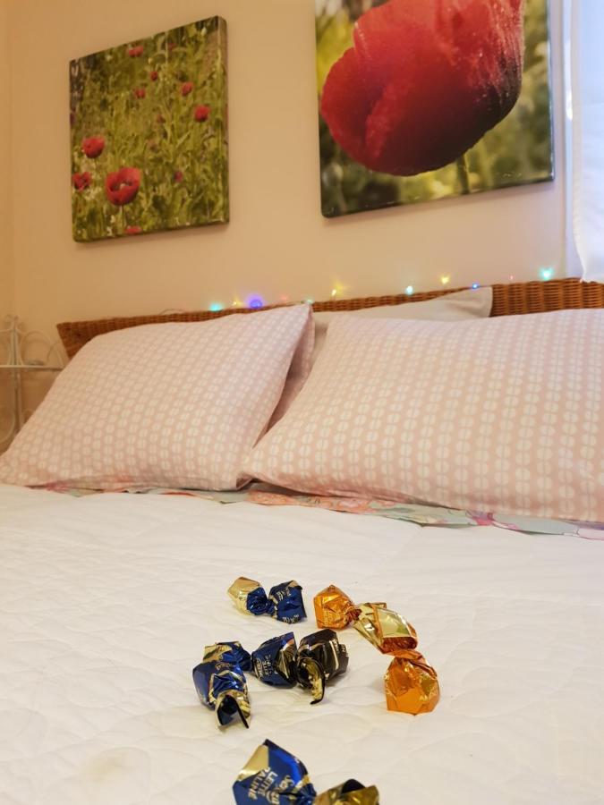 The Poppies Guest House - 100M Ocean - Private Spaces Candelaria Dış mekan fotoğraf